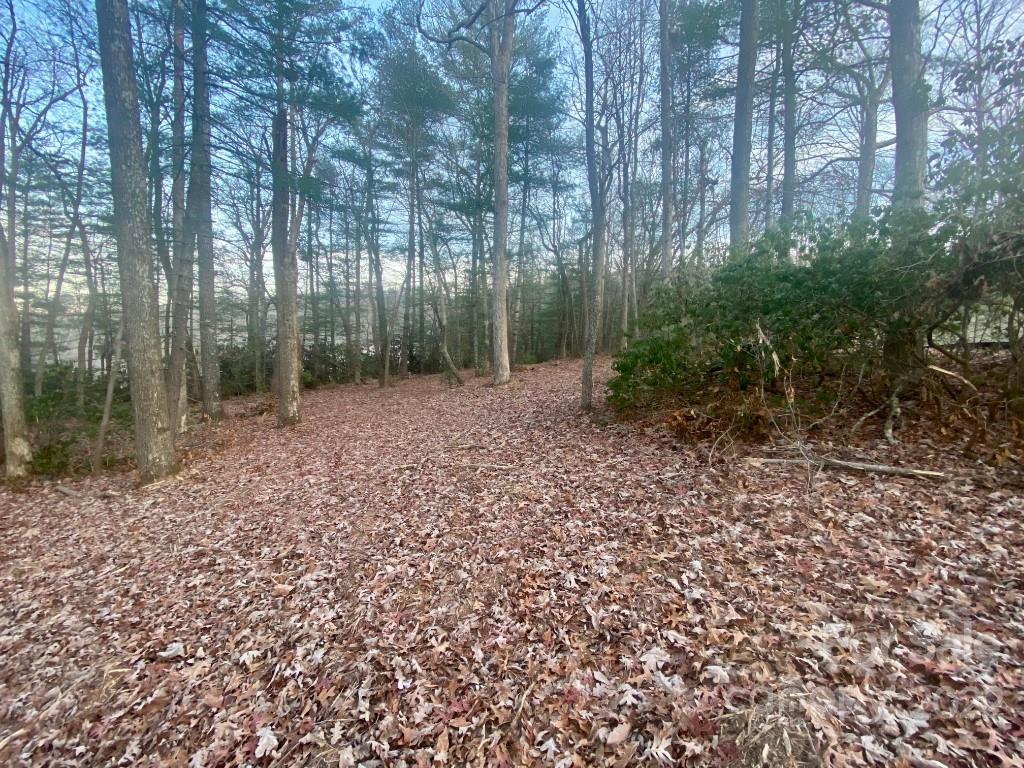 5 Ted Linn Drive Fairview, NC 28730 - Photo 8 of 20 a view of a forest with trees in the background