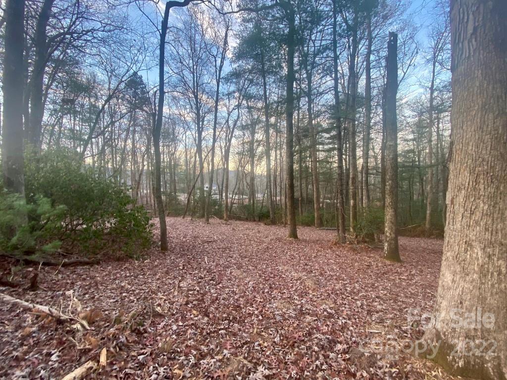 5 Ted Linn Drive Fairview, NC 28730 - Photo 9 of 20 a view of a yard with plants and trees