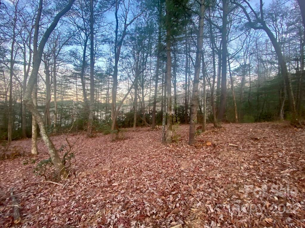 5 Ted Linn Drive Fairview, NC 28730 - Photo 10 of 20 a backyard of a house with lots of green space