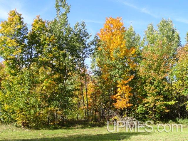 26514 Quartz Road Ontonagon, MI 49953 - Photo 19 of 21 Gallery Image 19