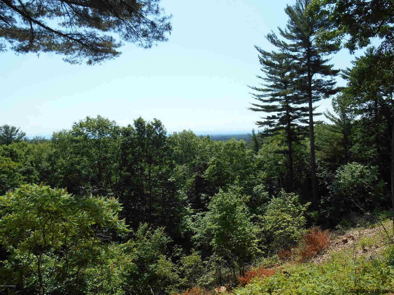 245 Butler Pond Road Queensbury, NY 12804 - Photo 38 of 43 Photo 38