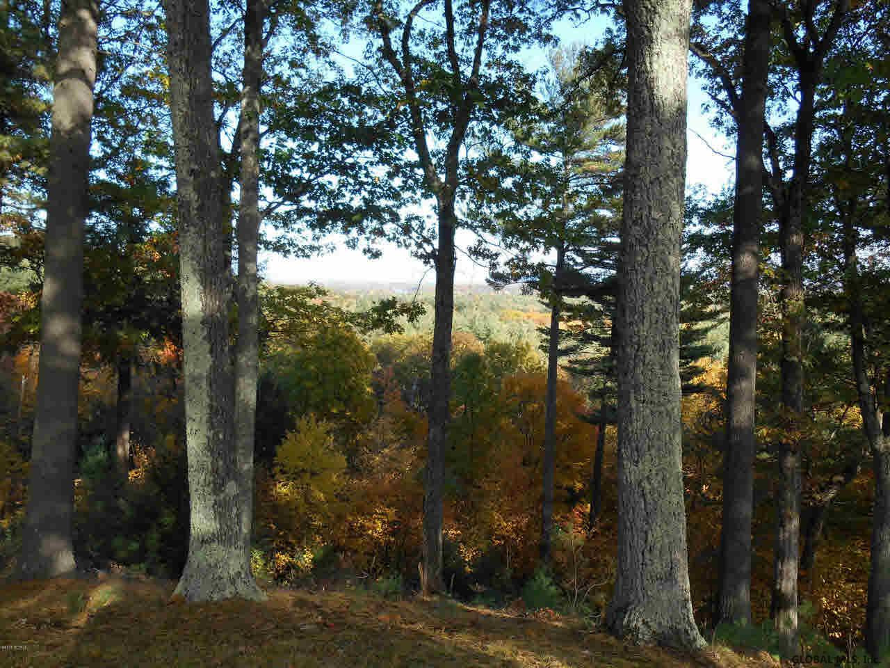 245 Butler Pond Road Queensbury, NY 12804 - Photo 7 of 43 Photo 7