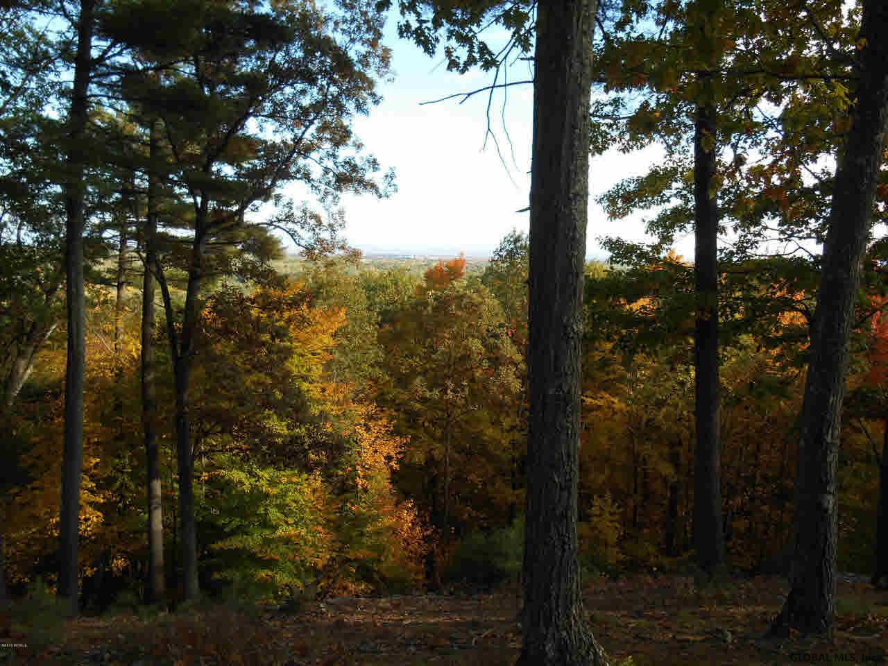 245 Butler Pond Road Queensbury, NY 12804 - Photo 9 of 43 Photo 9