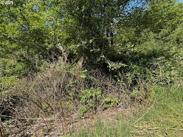 $25,000 | Marine Drive, Rockaway Beach, OR 97136