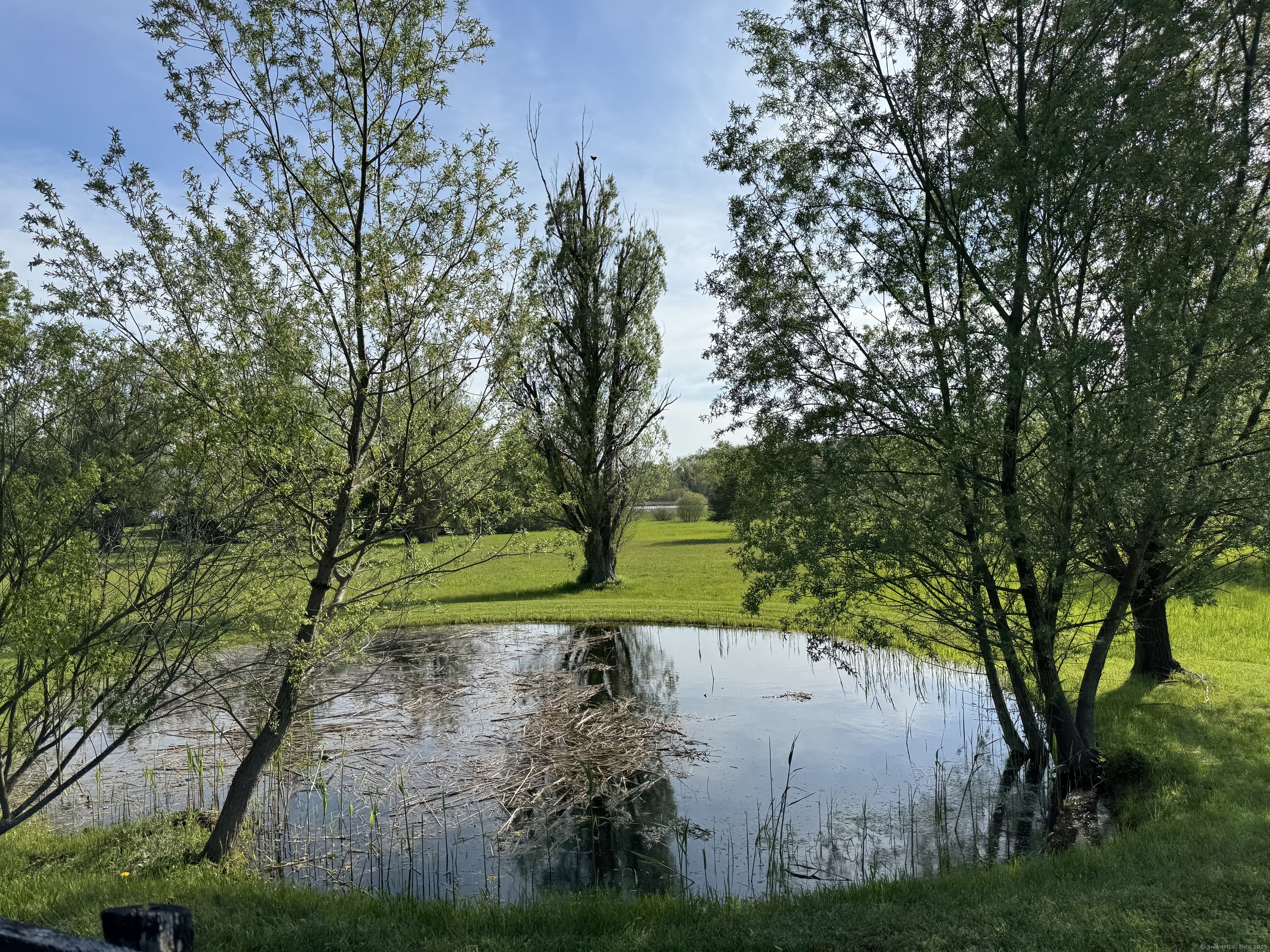 55 Still Meadow Road Sharon, CT 06069 - Photo 21 of 22 a view of a yard