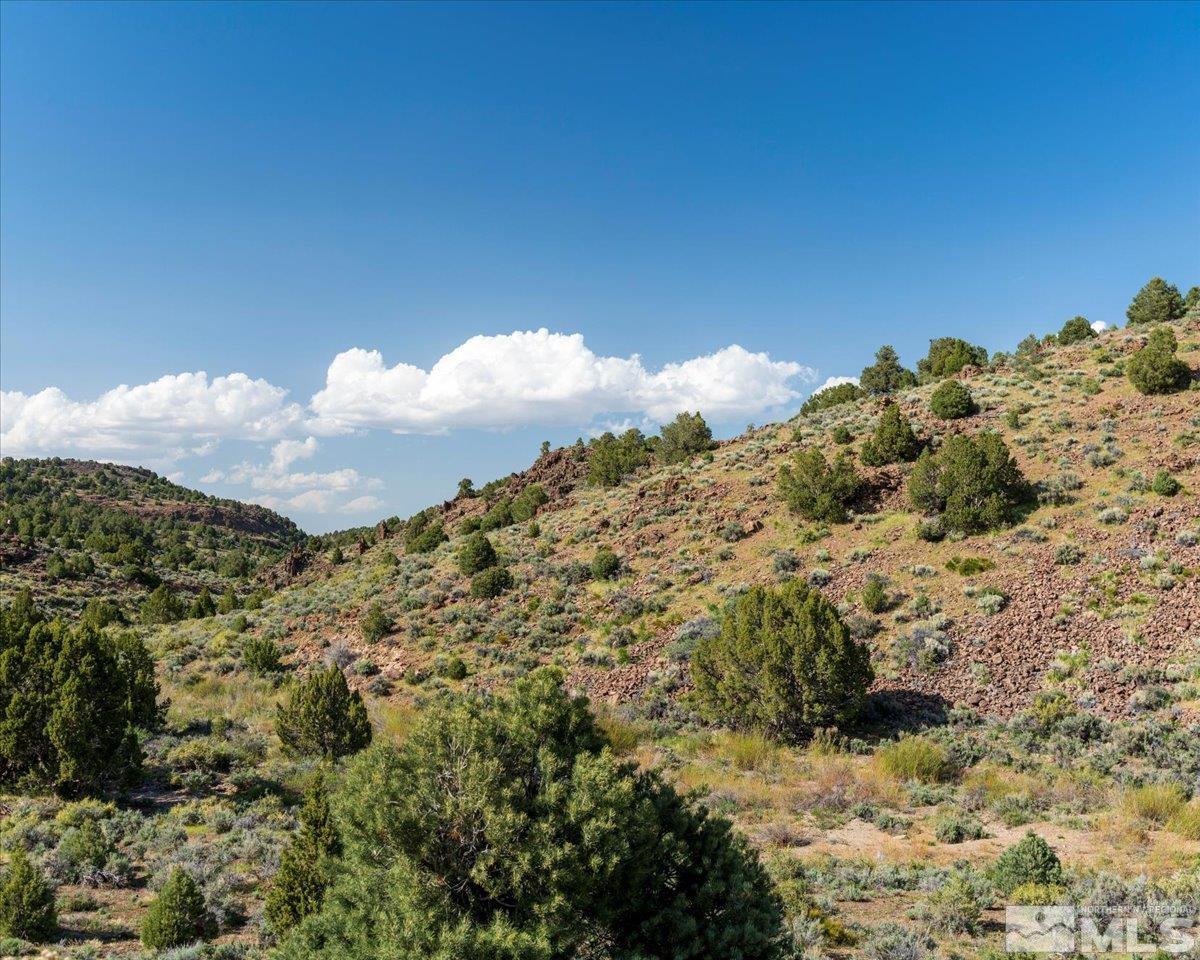 2880 Bullfrog Road Reno, NV 89521 - Photo 22 of 27 Photo 22