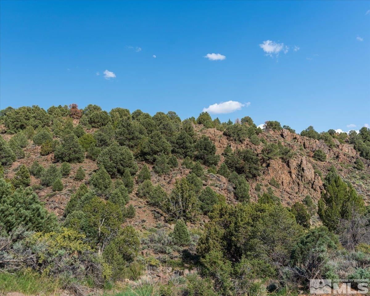 2880 Bullfrog Road Reno, NV 89521 - Photo 24 of 27 Photo 24