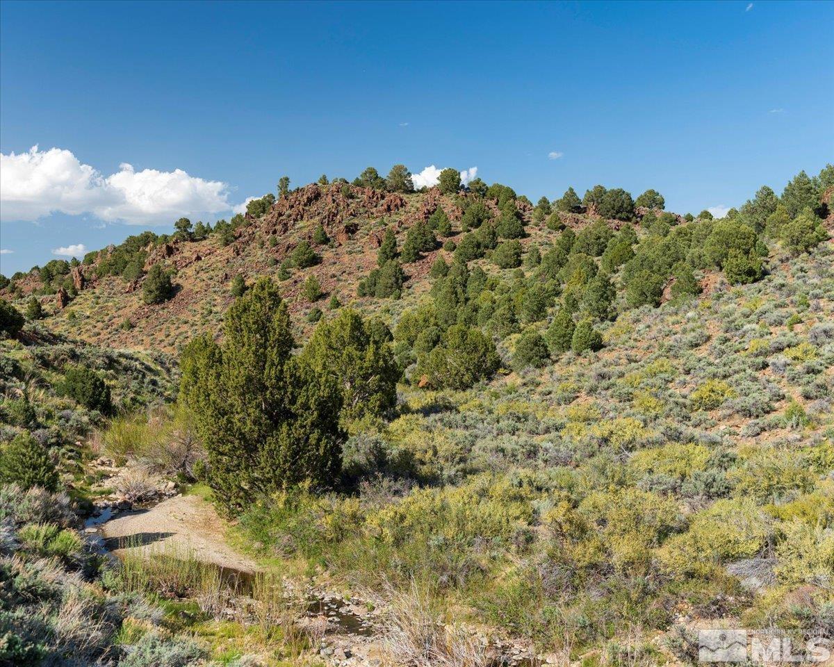 2880 Bullfrog Road Reno, NV 89521 - Photo 25 of 27 Photo 25
