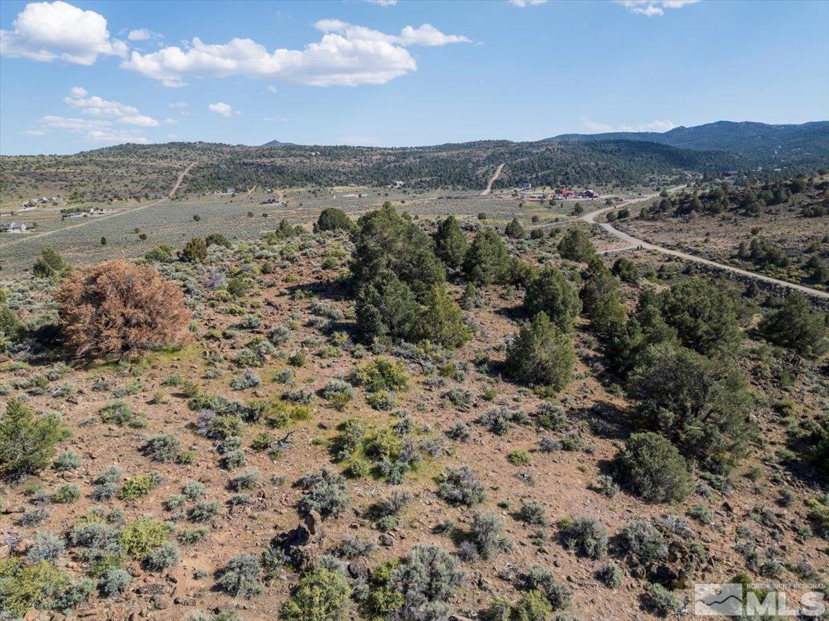 2880 Bullfrog Road Reno, NV 89521 - Photo 4 of 27 Photo 4