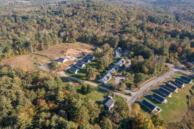 a view of lot of trees