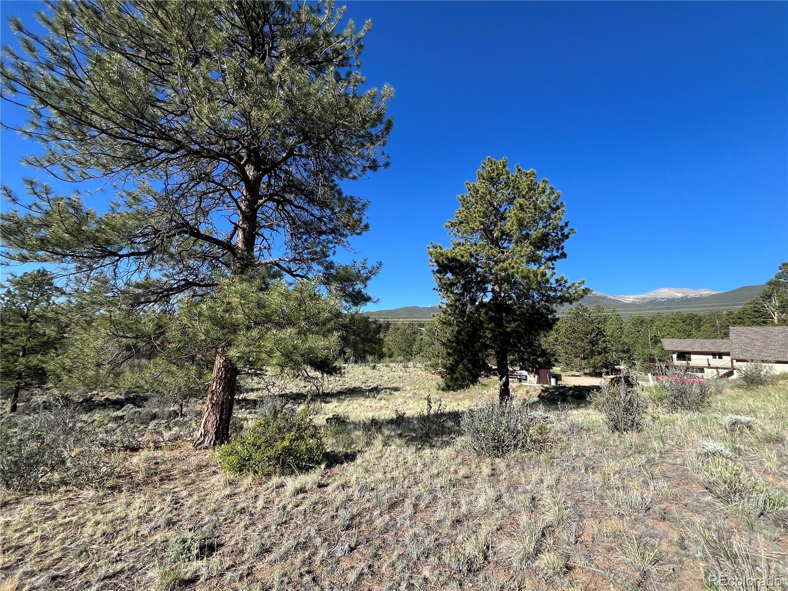 18322 South Lake Road Buena Vista, CO 81211 - Photo 12 of 22 a view of a dry yard with trees