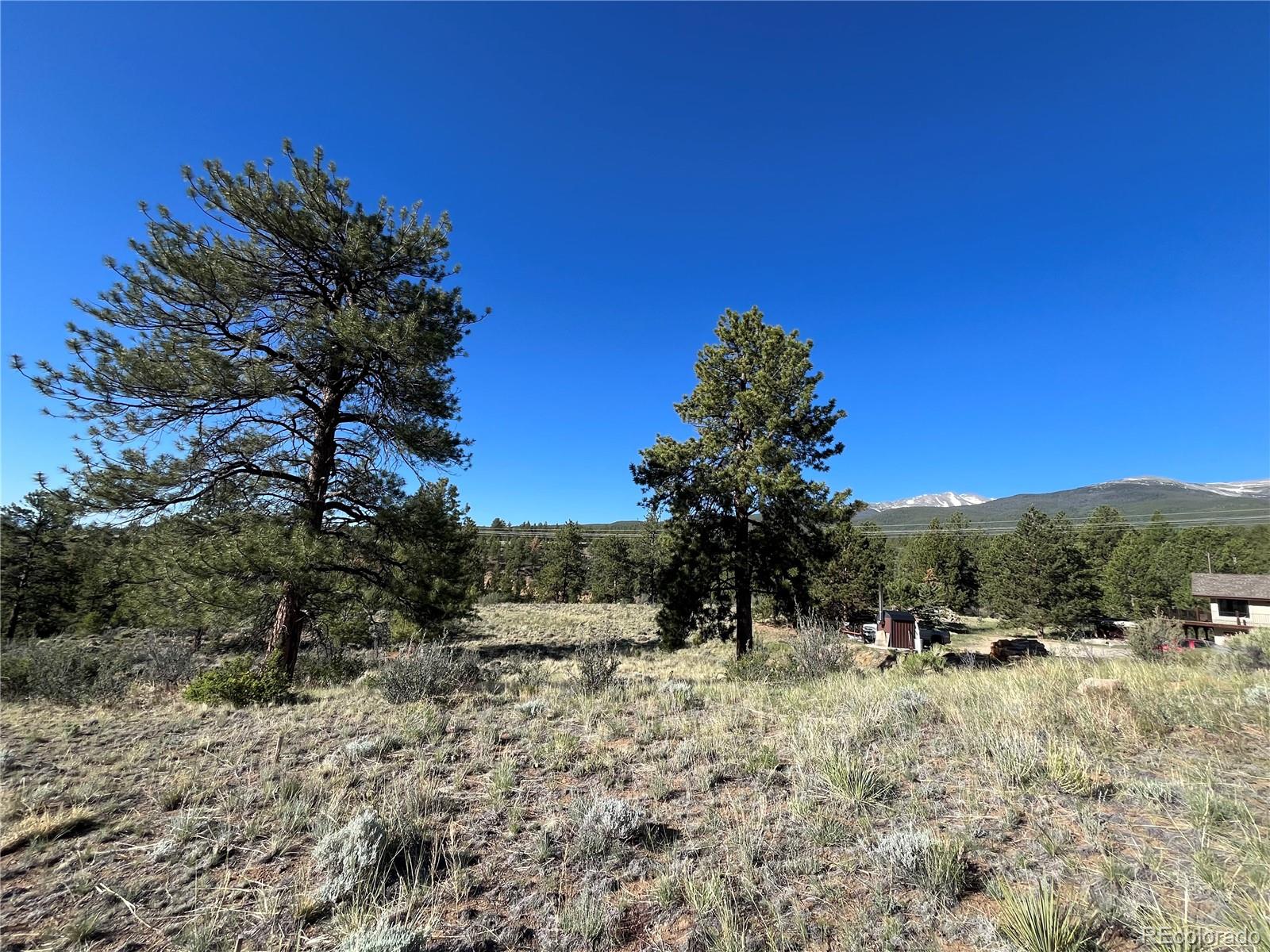 18322 South Lake Road Buena Vista, CO 81211 - Photo 16 of 22 a view of outdoor space with trees all around