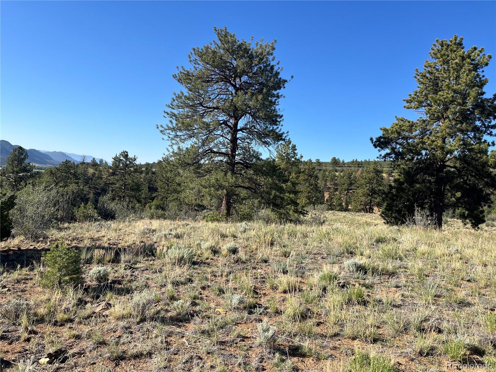 18322 South Lake Road Buena Vista, CO 81211 - Photo 18 of 22 a view of a snow covered with snow