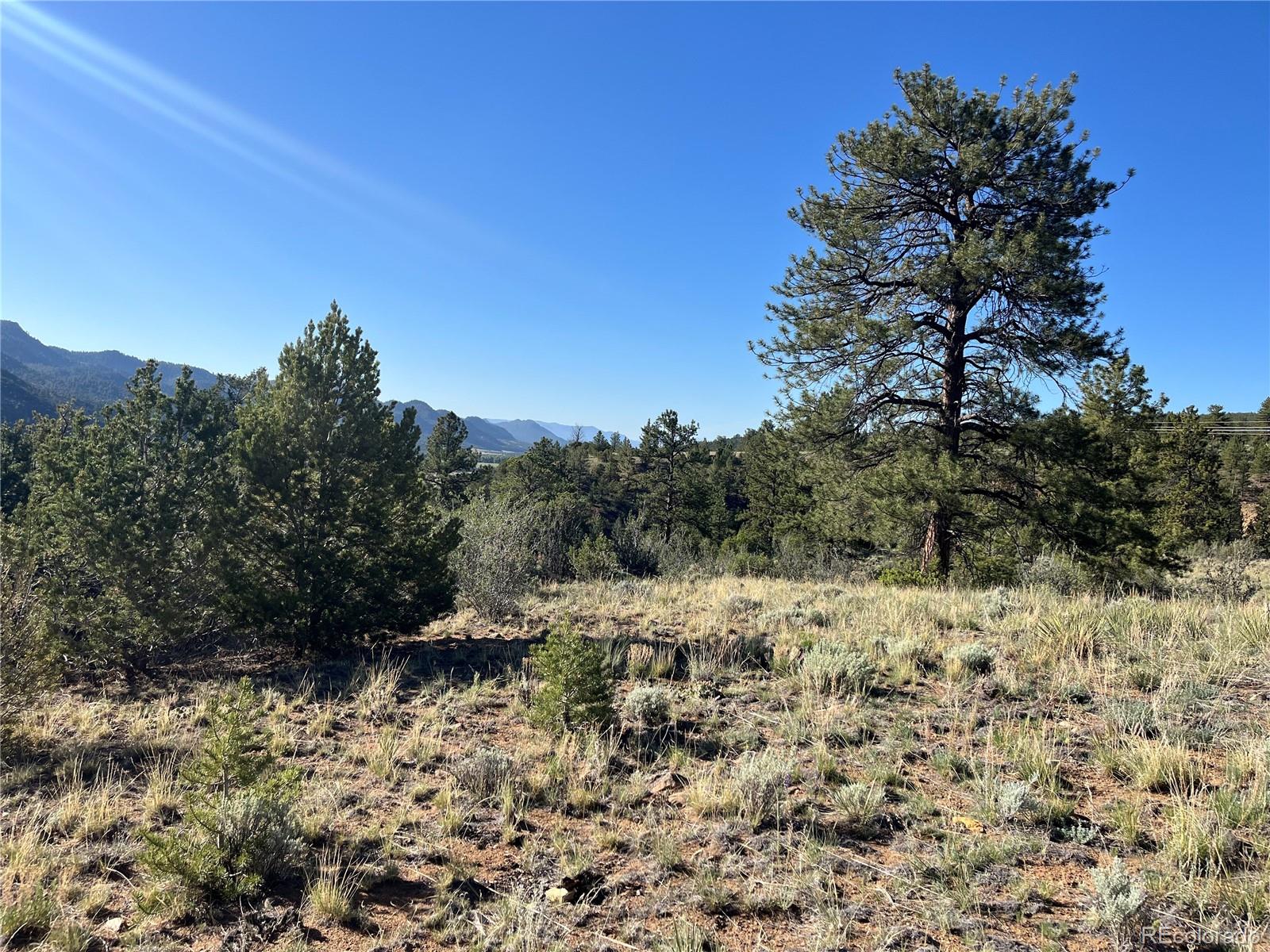 18322 South Lake Road Buena Vista, CO 81211 - Photo 22 of 22 a view of a yard with a tree