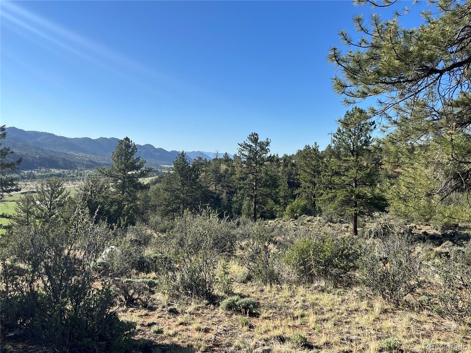 18322 South Lake Road Buena Vista, CO 81211 - Photo 7 of 22 a view of a field with a tree in the background