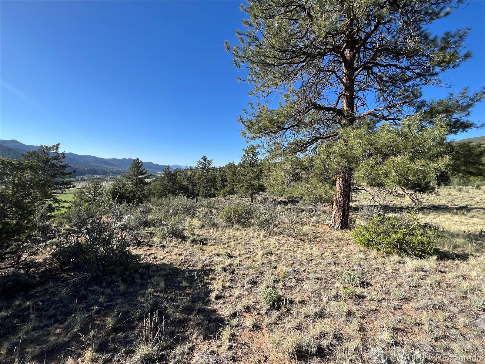 18322 South Lake Road Buena Vista, CO 81211 - Photo 8 of 22 a fire hydrant in the middle of a field