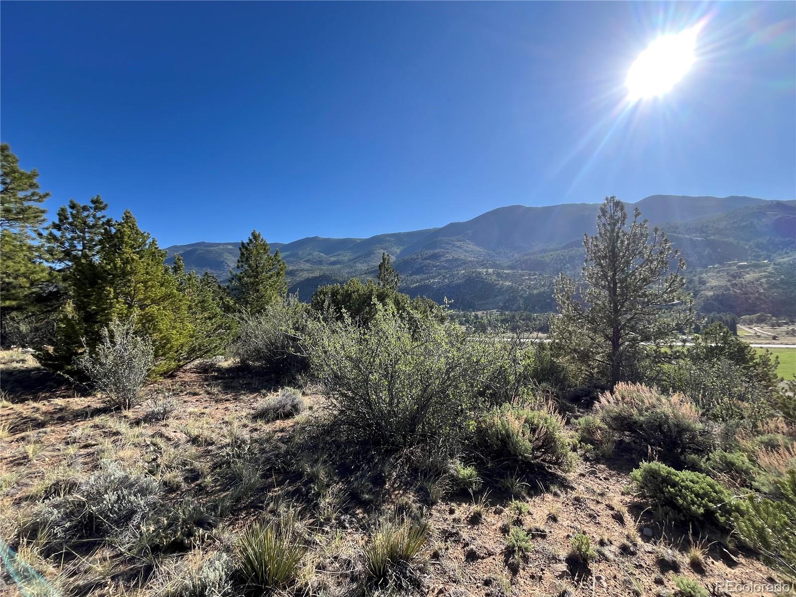 18322 South Lake Road Buena Vista, CO 81211 - Photo 9 of 22 a view of a house with a yard