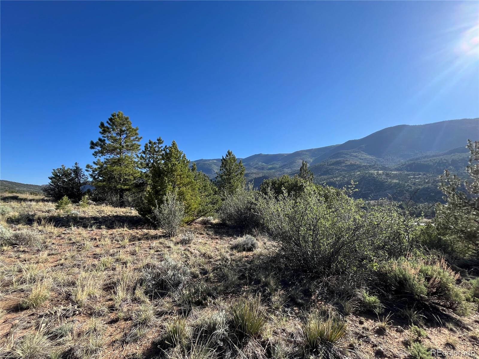 18322 South Lake Road Buena Vista, CO 81211 - Photo 10 of 22 a view of a dry yard with mountains in the background