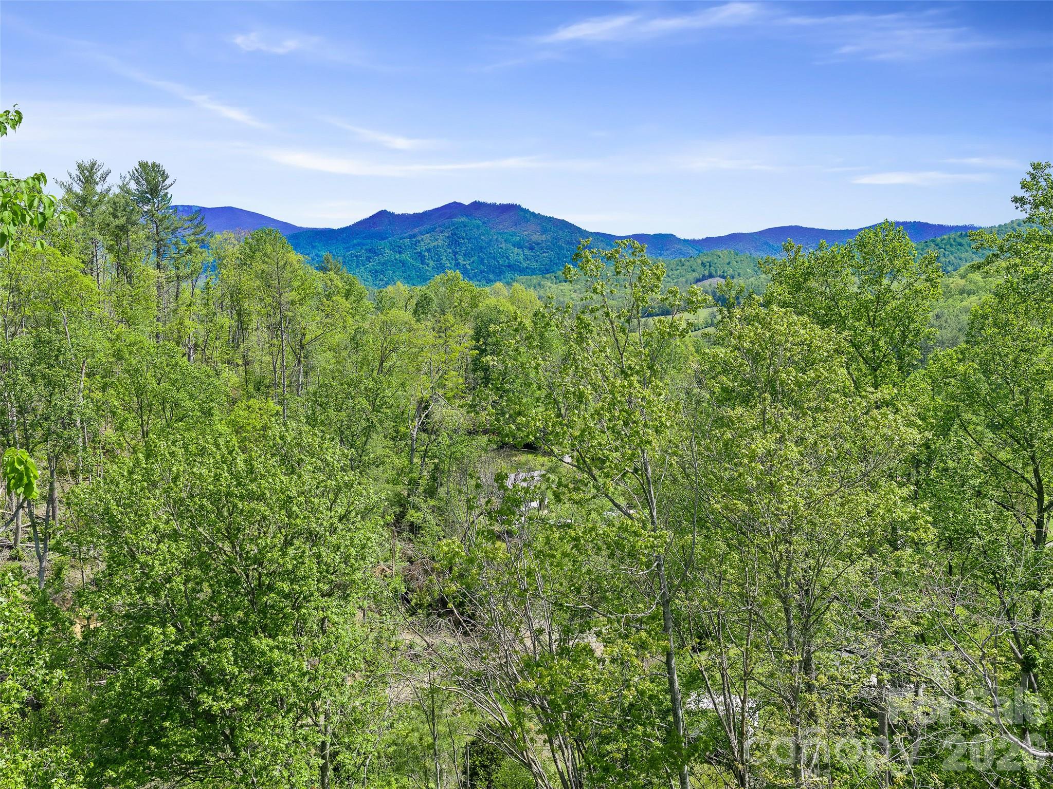615 Fred Sparks Road Bakersville, NC 28705 - Photo 11 of 15 a view of a lush green hillside and a houses