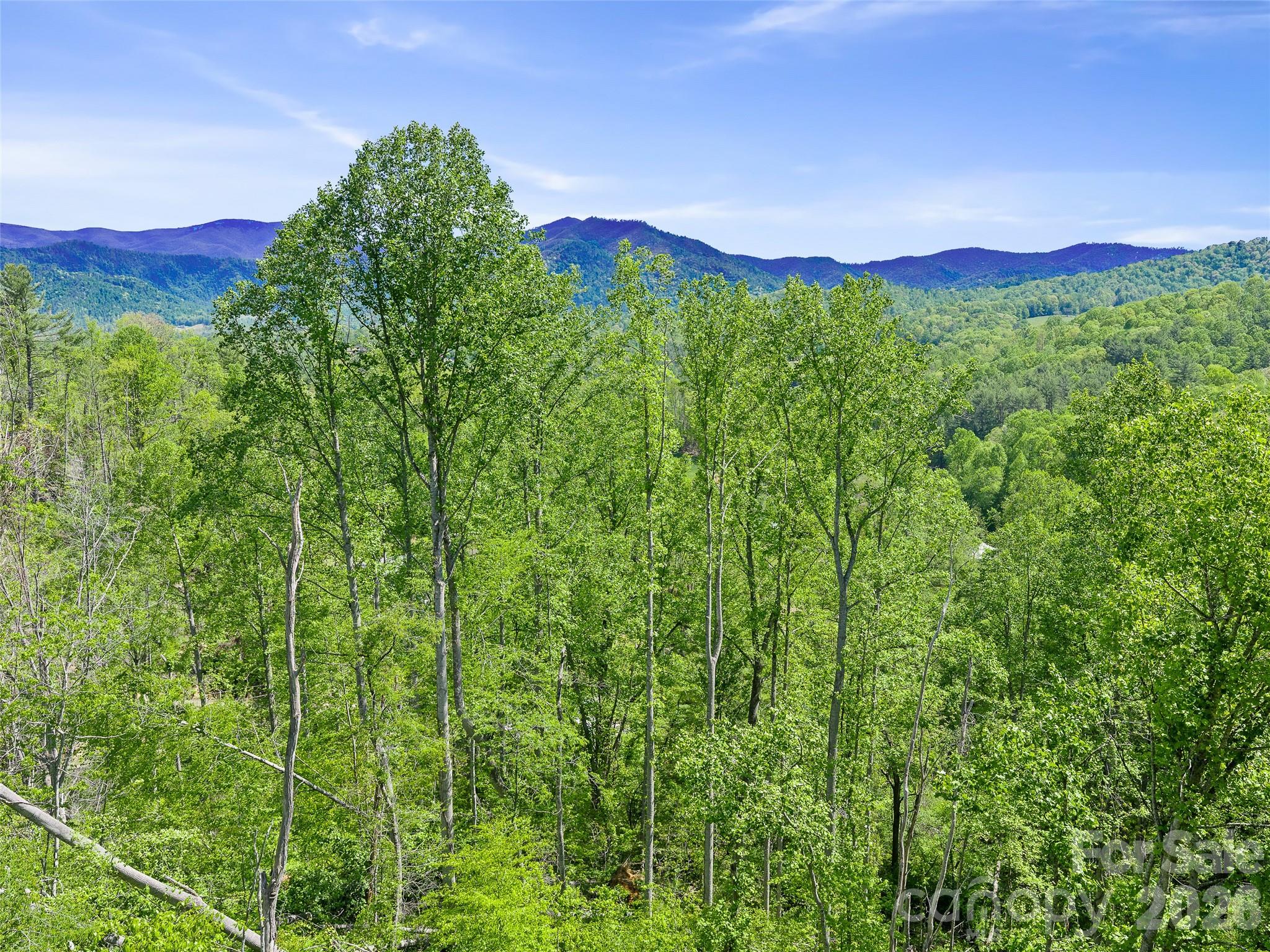 615 Fred Sparks Road Bakersville, NC 28705 - Photo 12 of 15 a view of a lush green hillside and a houses