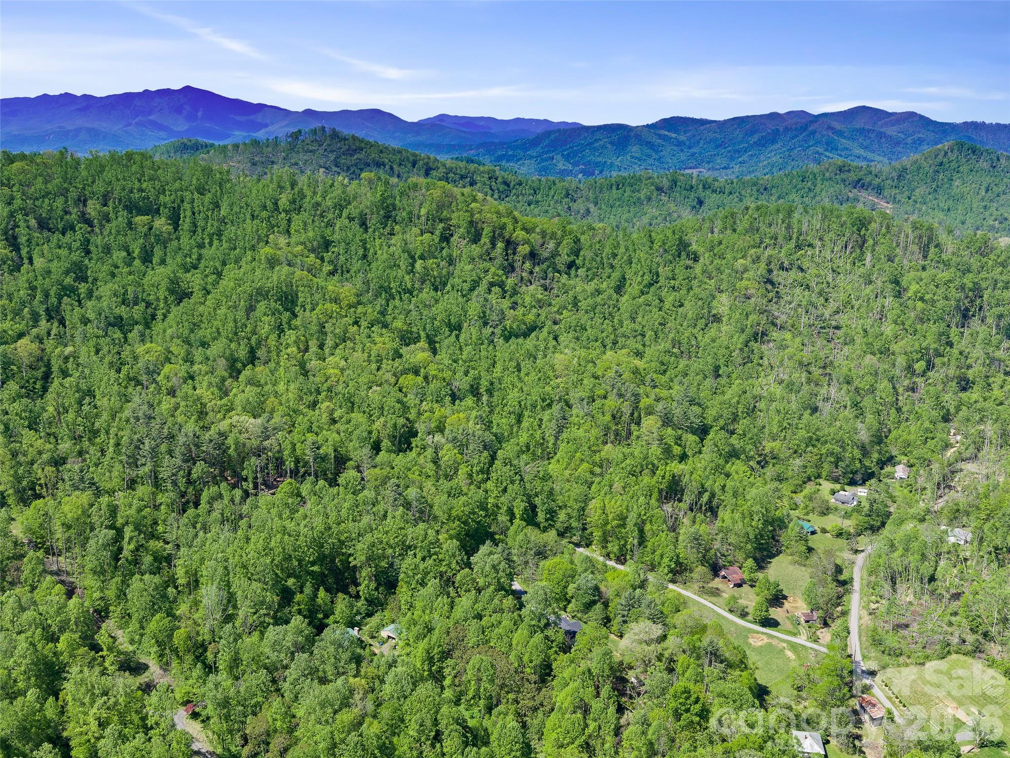 615 Fred Sparks Road Bakersville, NC 28705 - Photo 15 of 15 a view of a lush green hillside and a houses
