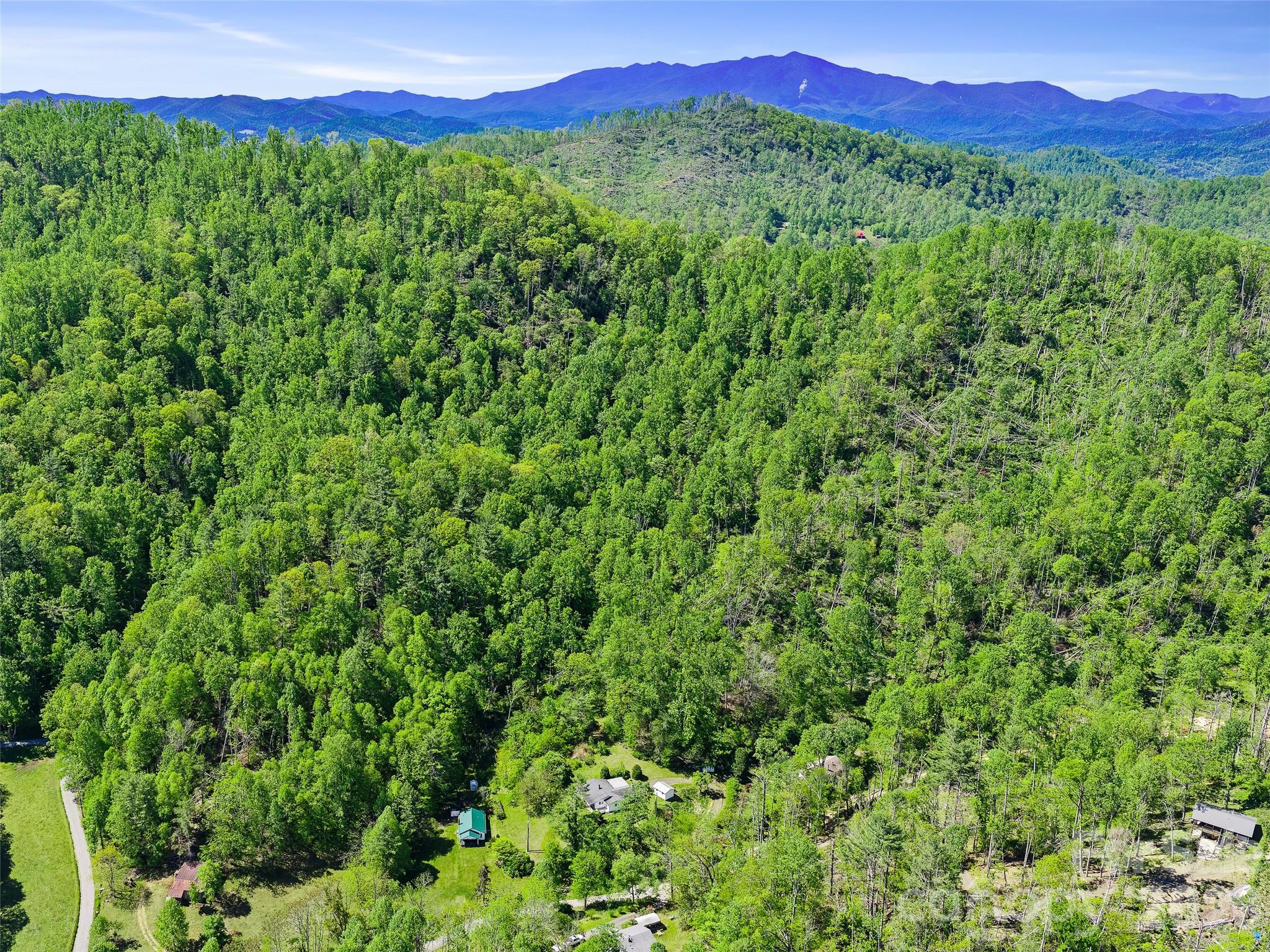 615 Fred Sparks Road Bakersville, NC 28705 - Photo 2 of 15 a view of a lush green hillside and a building in the background