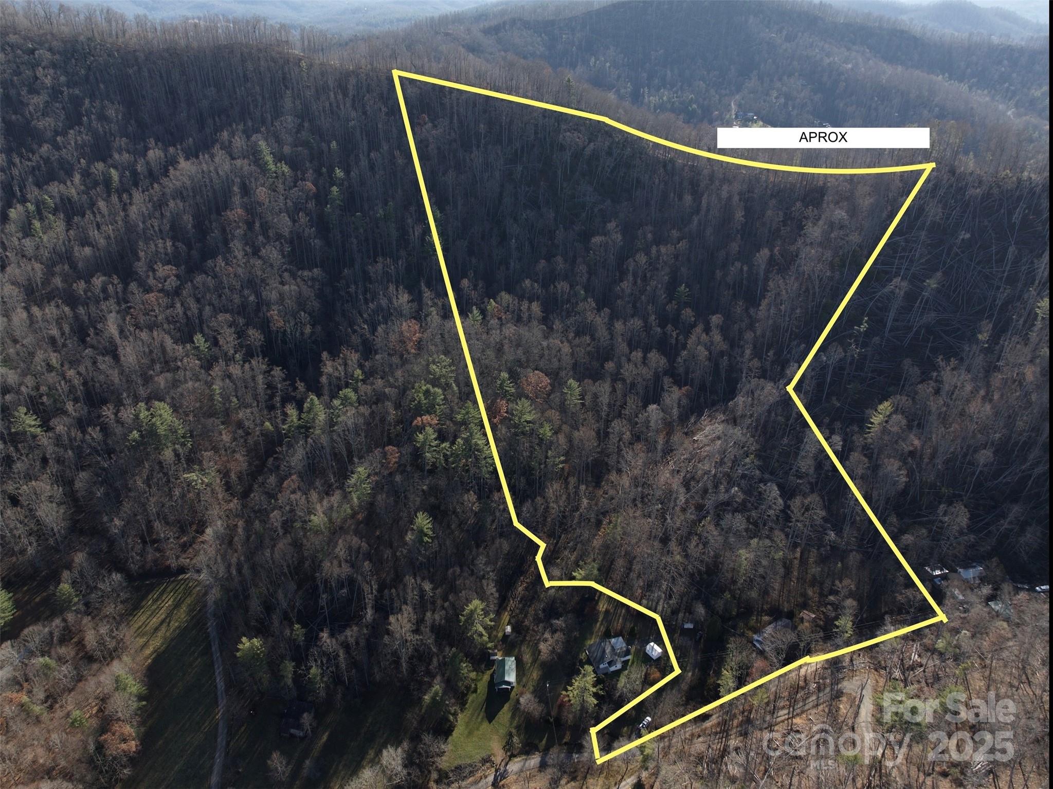 615 Fred Sparks Road Bakersville, NC 28705 - Photo 2 of 6 a bird view image