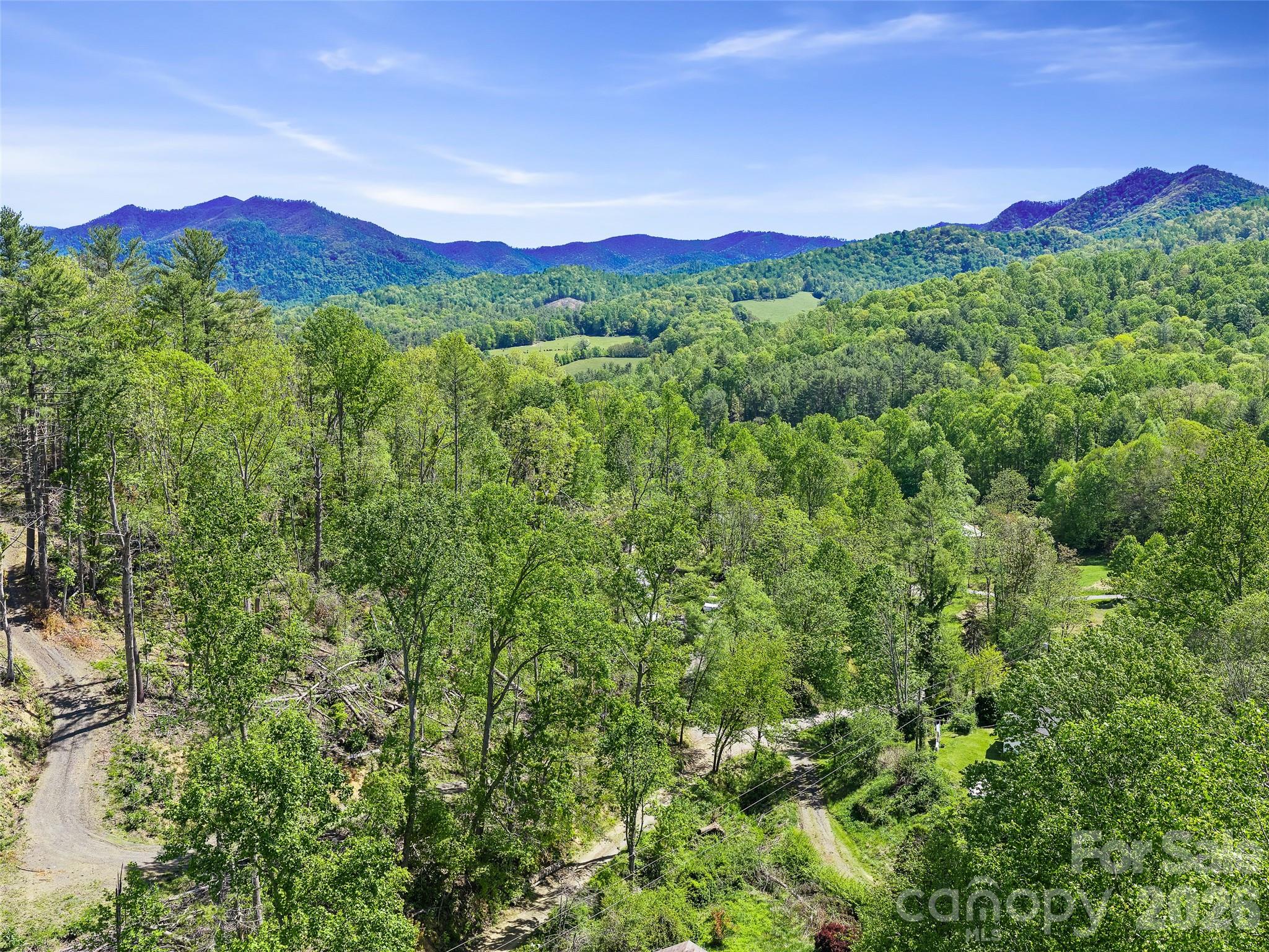 615 Fred Sparks Road Bakersville, NC 28705 - Photo 3 of 15 a view of a lush green hillside and a building in the background