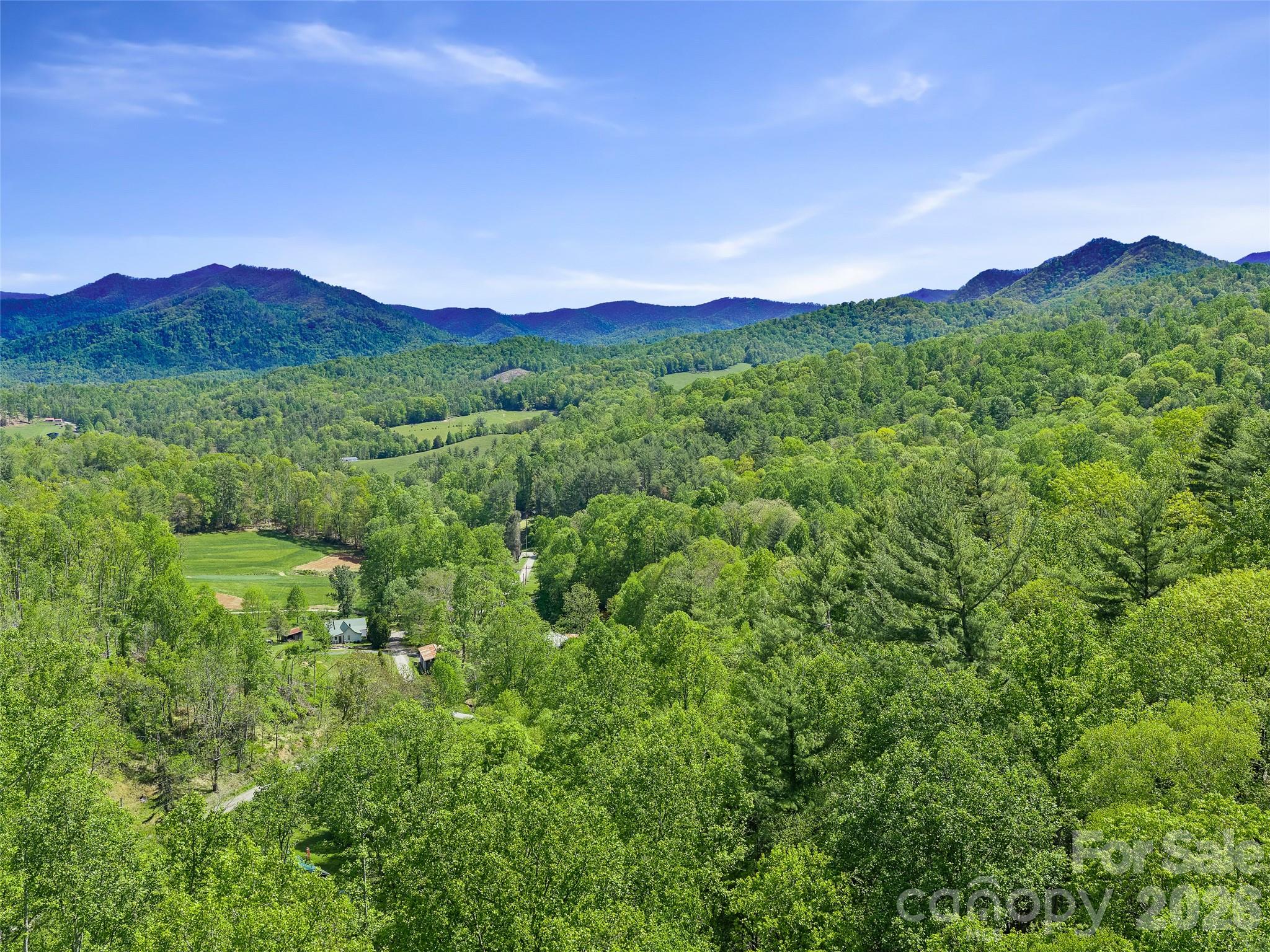 615 Fred Sparks Road Bakersville, NC 28705 - Photo 5 of 15 a view of a lush green hillside and a houses