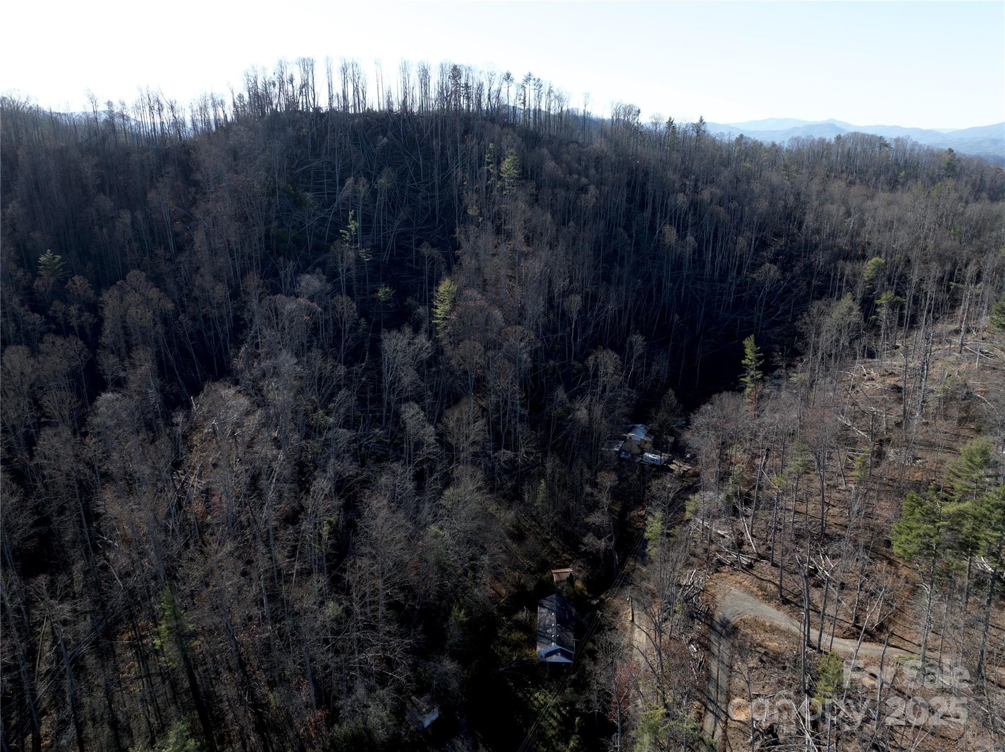 615 Fred Sparks Road Bakersville, NC 28705 - Photo 6 of 6 a view of a dry yard with trees in the background
