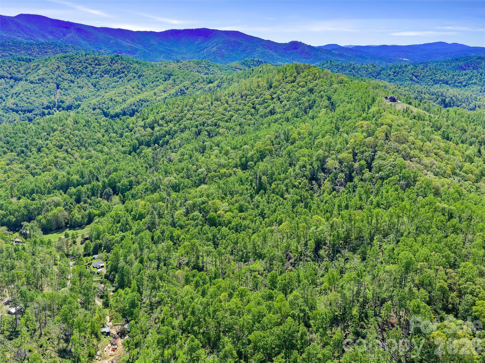 615 Fred Sparks Road Bakersville, NC 28705 - Photo 7 of 15 a view of a lush green forest with trees in the background