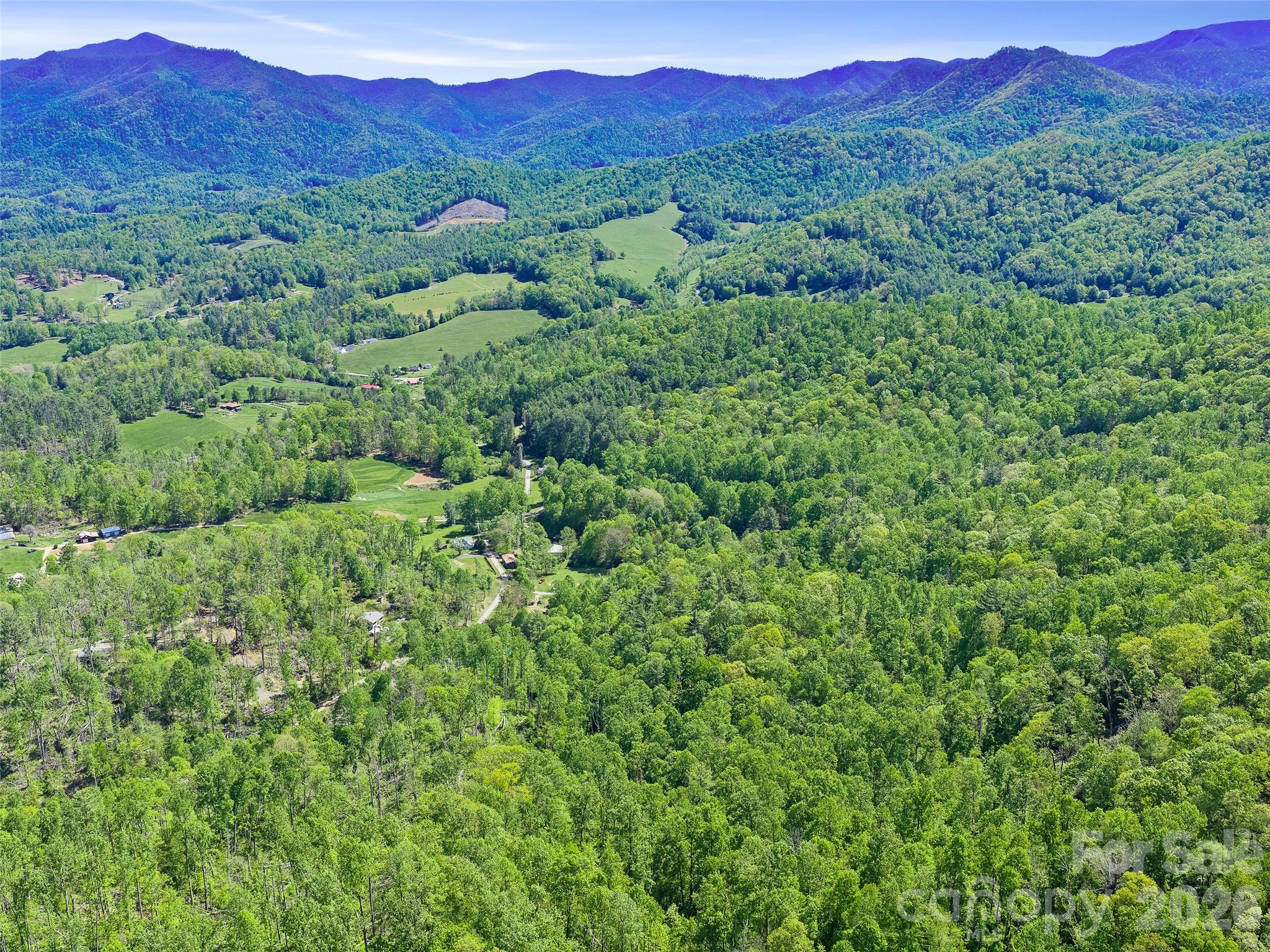 615 Fred Sparks Road Bakersville, NC 28705 - Photo 8 of 15 a view of a lush green forest with trees in the background