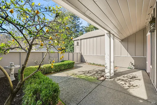 a house view with a backyard space