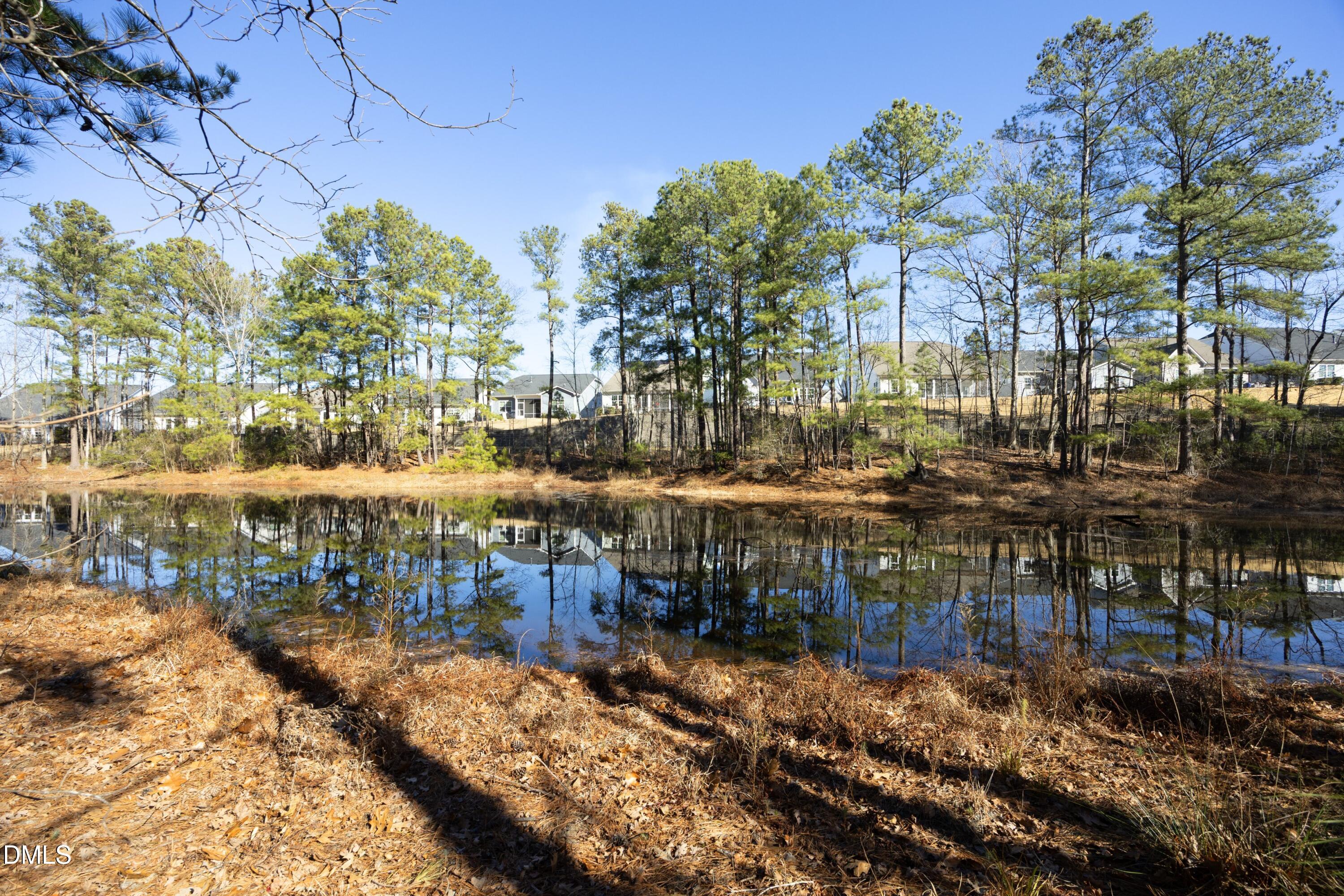 202 Sea Foam Drive Raleigh, NC 27610 - Photo 39 of 50 38BackPond
