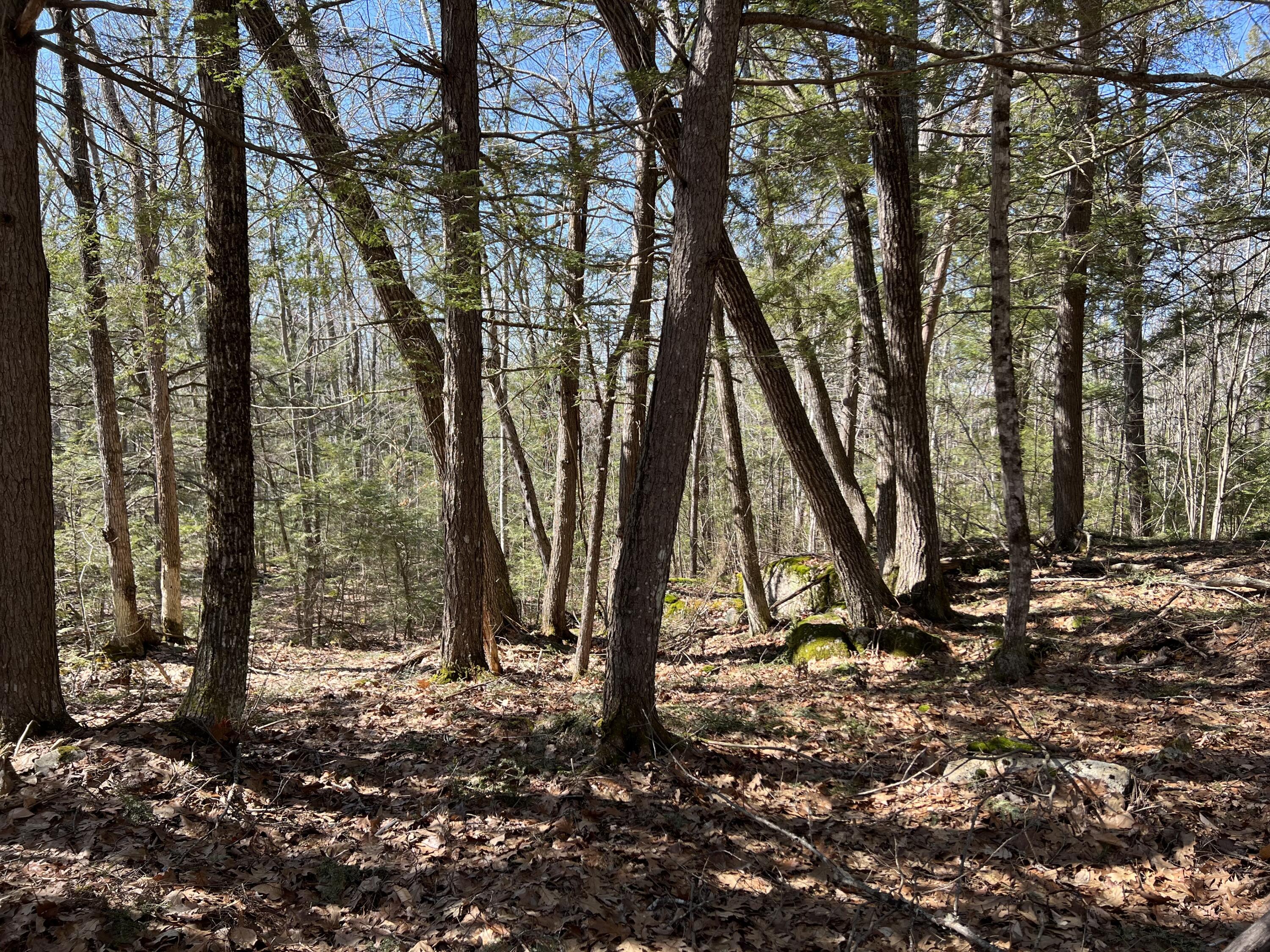 Lot#009-02 Powderhorn Road Jefferson, ME 04348 - Photo 3 of 3 image1