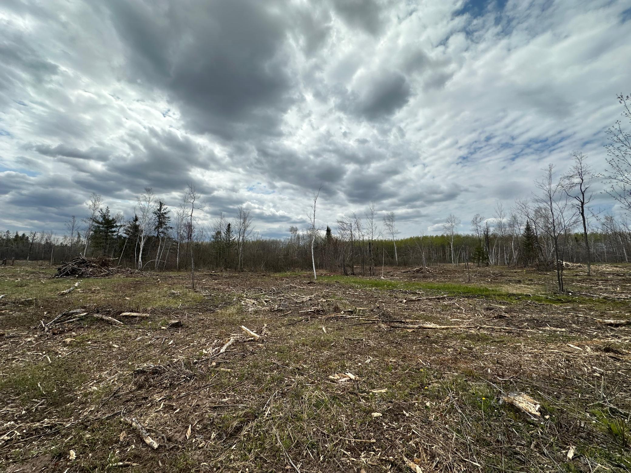 Tbd #2 Koecher Road Kerrick, MN 55756 - Photo 7 of 15 Gallery Image 7