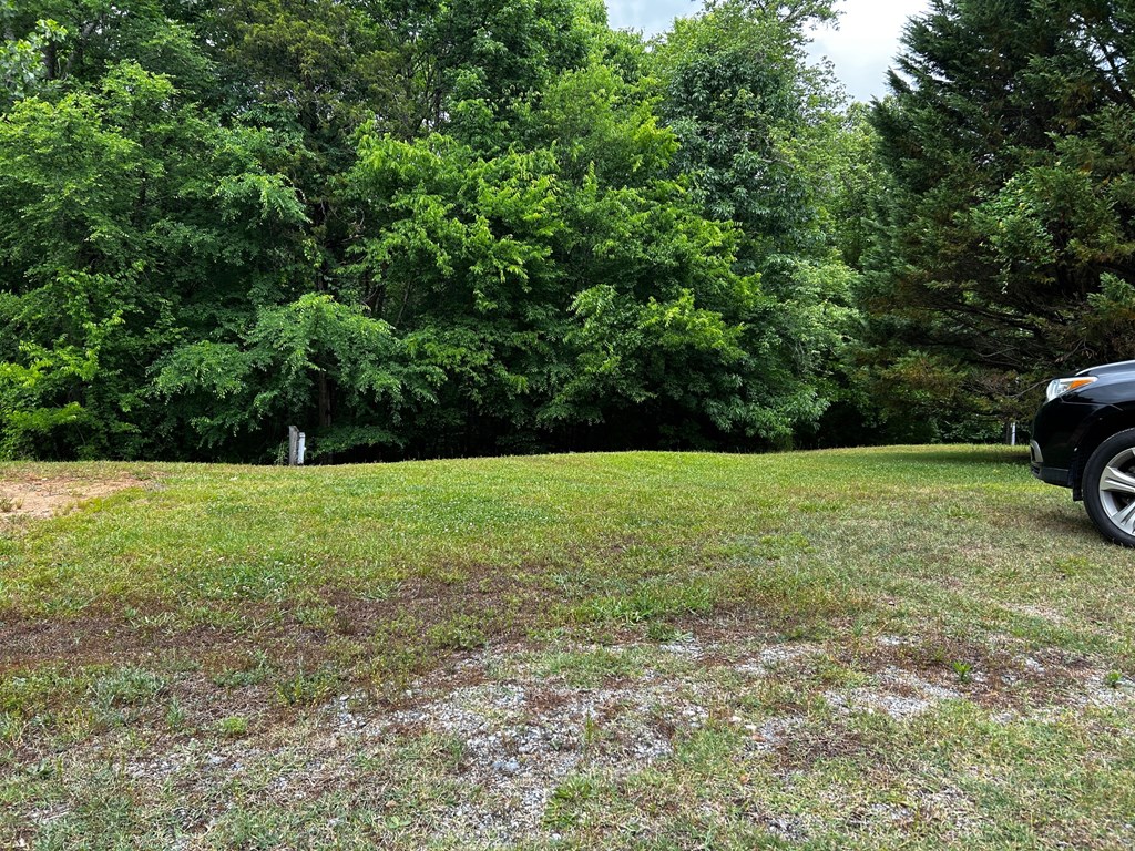 1770 Ekom Beach Road Laurens, SC 29360 - Photo 14 of 14 Level Lot w Private Septic