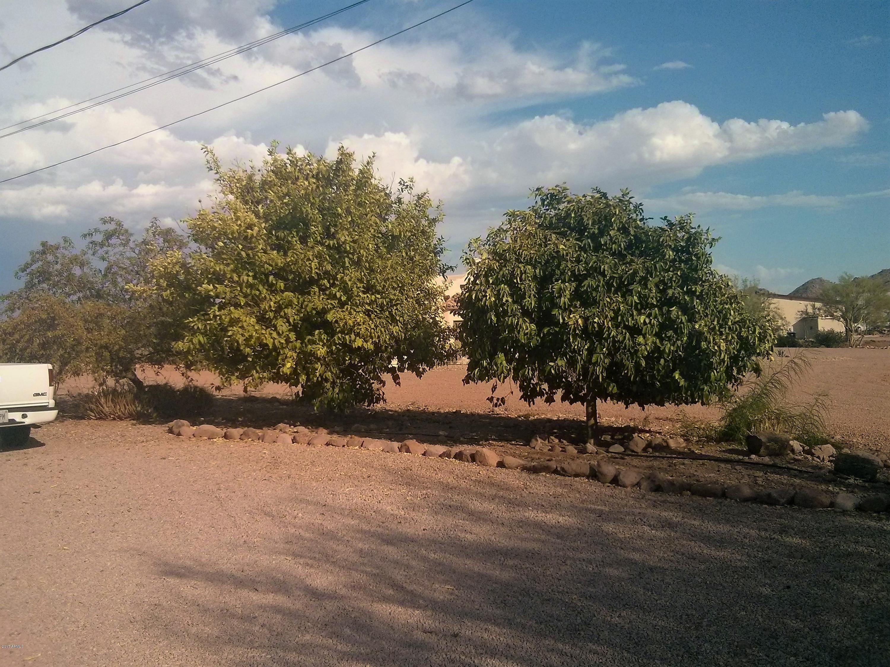 2053 South Val Vista Road Apache Junction, AZ 85119 - Photo 13 of 22 fruittrees