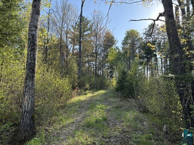 3506 Hanson Lk Road Ely, MN 55731 - Photo 24 of 26