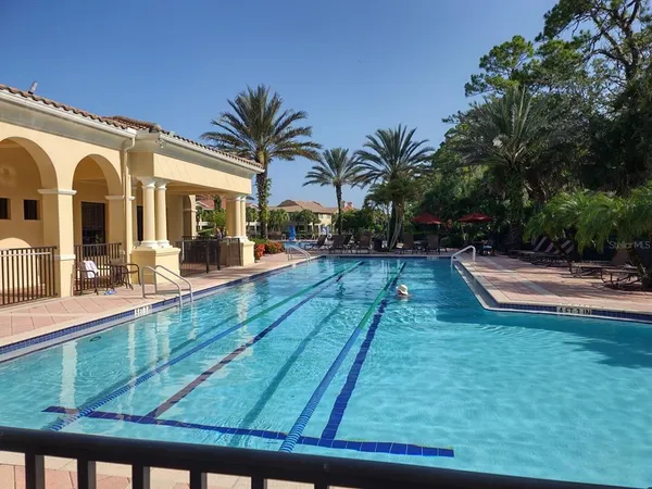 a view of a swimming pool with a lawn chairs under palm trees
