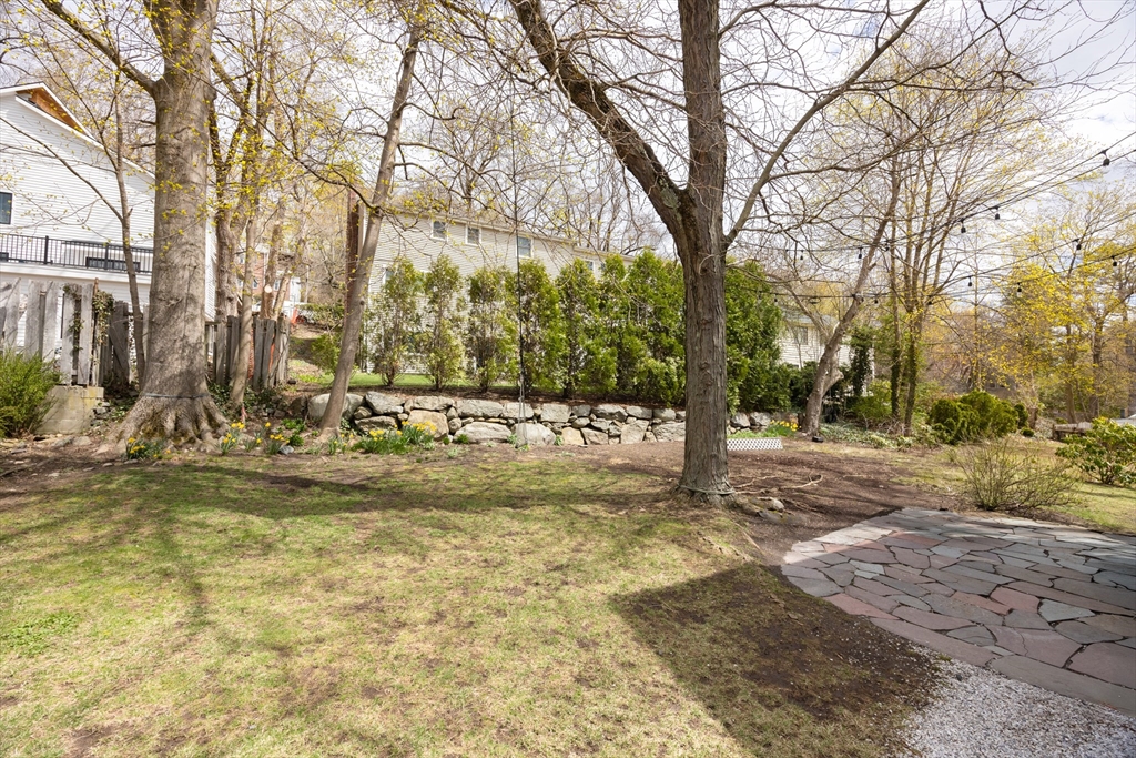 236 Beverly Road Brookline, MA 02467 - Photo 17 of 18