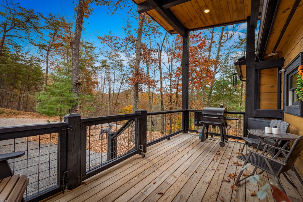 105 Snowy Road Morganton, GA 30560 - Photo 45 of 73 Gallery Image 45
