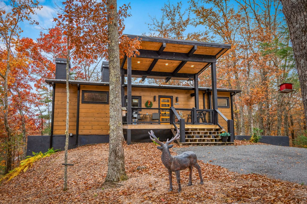 105 Snowy Road Morganton, GA 30560 - Photo 69 of 73 Gallery Image 69