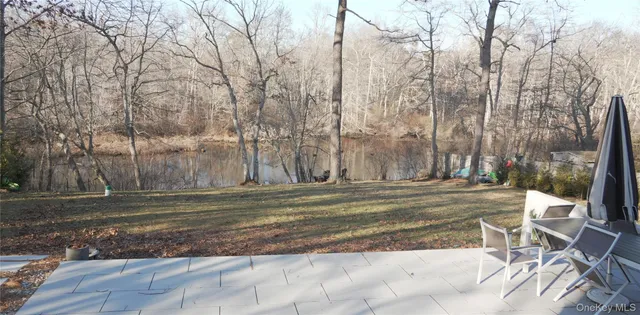 a view of a yard with trees