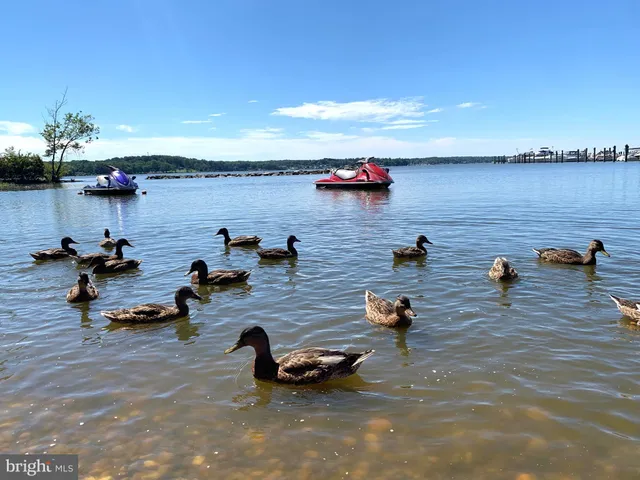 $325,000 | 118 Northeast Isles Drive, North East, MD 21901