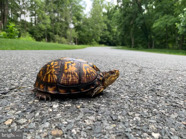 $325,000 | 118 Northeast Isles Drive, North East, MD 21901