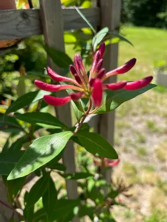 $395,000 | 203 Garnet Head Road, Pembroke, ME 04666