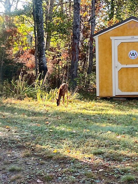 203 Garnet Head Road Pembroke, ME 04666 - Photo 24 of 91 IMG_5575