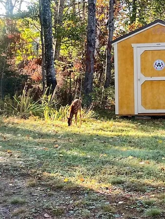 $395,000 | 203 Garnet Head Road, Pembroke, ME 04666