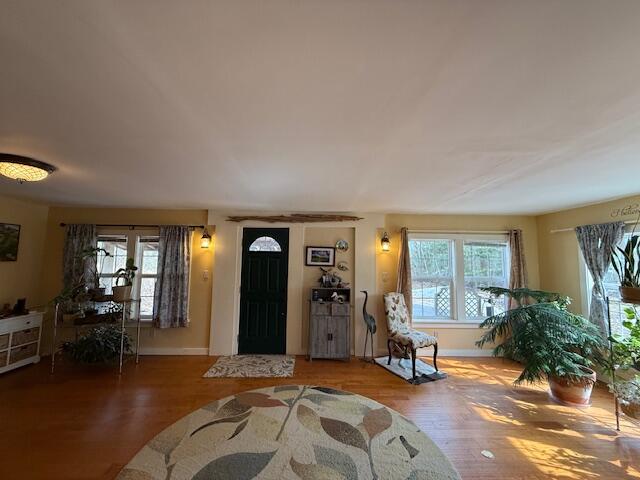 203 Garnet Head Road Pembroke, ME 04666 - Photo 27 of 91 IMG_7177 (3)